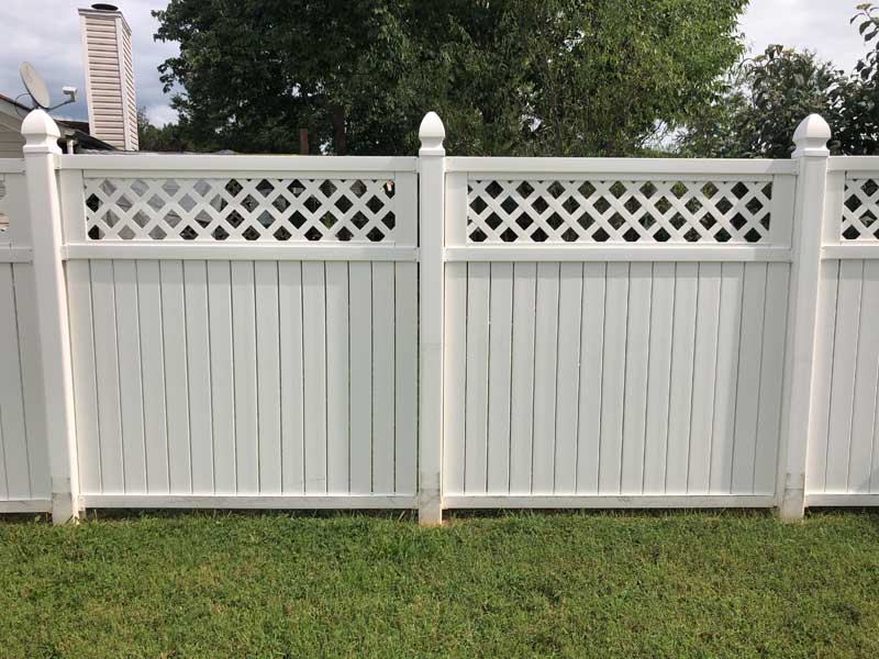 Fence-Cleaning-after1