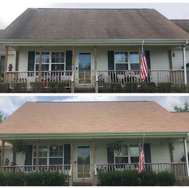 Roof Cleaning